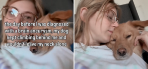 Woman Notices Dog Acting Strange, Next Day She Gets Life-Changing Diagnosis