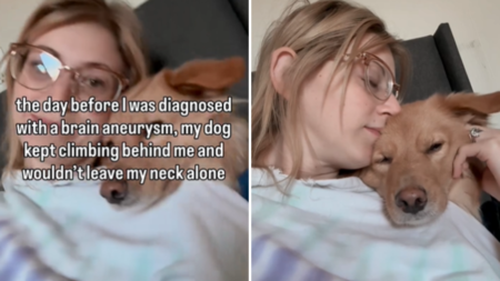 Woman Notices Dog Acting Strange, Next Day She Gets Life-Changing Diagnosis