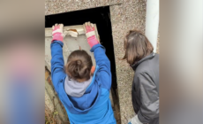 Woman Buys House, Finds Mystery Door in Garden With Big Surprise Behind It