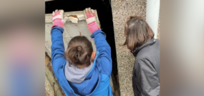 Woman Buys House, Finds Mystery Door in Garden With Big Surprise Behind It