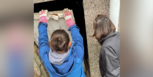 Woman Buys House, Finds Mystery Door in Garden With Big Surprise Behind It