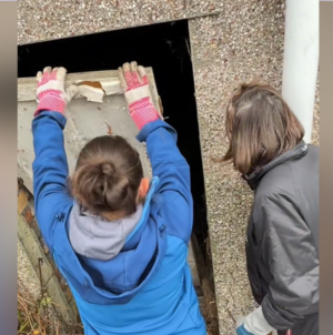 Woman Buys House, Finds Mystery Door in Garden With Big Surprise Behind It