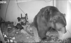 Palisades High to reopen fire-damaged campus using portables