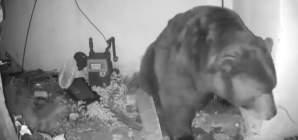 ‘The Snake’ stretch of Mulholland Hwy. reopens after 6 years