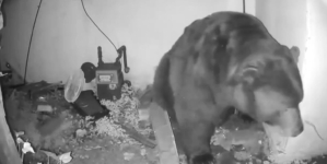 ‘The Snake’ stretch of Mulholland Hwy. reopens after 6 years