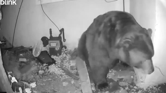 Commentary: Trump has this Latino mother and daughter divided. But the silent treatment won’t do