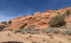 Reward Offered After Stolen Ancient Skull Shows Up in Facebook Selfie