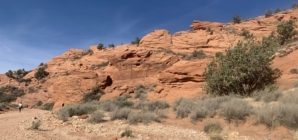 Reward Offered After Stolen Ancient Skull Shows Up in Facebook Selfie