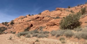 Reward Offered After Stolen Ancient Skull Shows Up in Facebook Selfie
