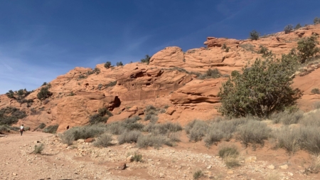Reward Offered After Stolen Ancient Skull Shows Up in Facebook Selfie