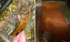 Dog Ruins Carpet—What’s Underneath Ends Up Being the Best Christmas Present