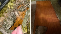 Dog Ruins Carpet—What’s Underneath Ends Up Being the Best Christmas Present
