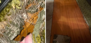 Dog Ruins Carpet—What’s Underneath Ends Up Being the Best Christmas Present