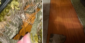 Dog Ruins Carpet—What’s Underneath Ends Up Being the Best Christmas Present