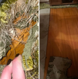 Dog Ruins Carpet—What’s Underneath Ends Up Being the Best Christmas Present