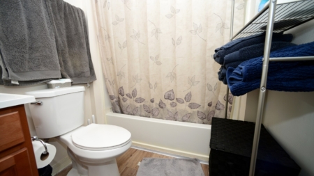 Health Officials Warn of ‘Toilet Rats’ Following Washington Flooding