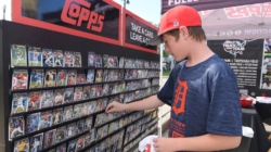 How to Buy Sports Cards This Holiday Season: Shop Baseball, Basketball, Football, Soccer, & Hockey