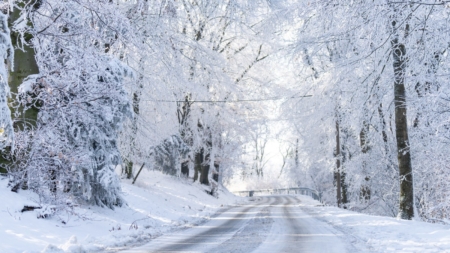 Winter Storm Dumps Nearly Entire Month’s Worth of Snow on One Town
