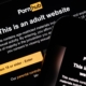 Pornhub Security Breach Sees Users’ Data Stolen