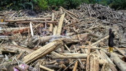 Indonesia’s Deadly Floods Seen From Space