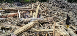 Indonesia’s Deadly Floods Seen From Space