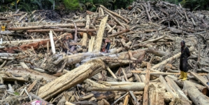 Indonesia’s Deadly Floods Seen From Space