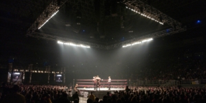 Released WWE Star Making Shocking Career Change