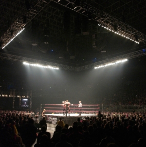 Released WWE Star Making Shocking Career Change