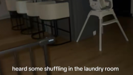 Mom Hears Noise From Laundry Room at 11:30PM, Not Prepared for Who’s There
