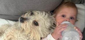 Mom Shares How Toddler Sleeps, Shock at Truth: ‘I Fear This Isn’t Normal’