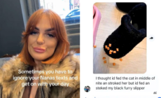 Gran Wakes in Middle of Night, Hysterics Over What She Feeds Instead of Cat