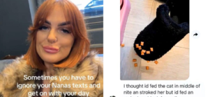 Gran Wakes in Middle of Night, Hysterics Over What She Feeds Instead of Cat