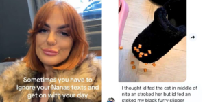 Gran Wakes in Middle of Night, Hysterics Over What She Feeds Instead of Cat