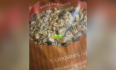 Woman Hears Something ‘Rustling’ in Bag of Granola—Shock at What’s Inside
