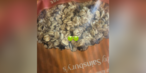 Woman Hears Something ‘Rustling’ in Bag of Granola—Shock at What’s Inside