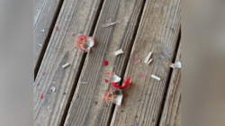 Grandma Breaks Decades Old Christmas Ornament—Shock at What’s Hidden Inside