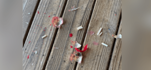 Grandma Breaks Decades Old Christmas Ornament—Shock at What’s Hidden Inside