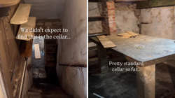 Couple Viewing New Home Go Down to Cellar—Never Imagined What They’d Find – Newsweek