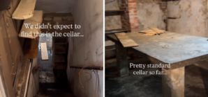 Couple Viewing New Home Go Down to Cellar—Never Imagined What They’d Find – Newsweek