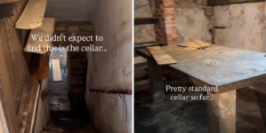 Couple Viewing New Home Go Down to Cellar—Never Imagined What They’d Find – Newsweek