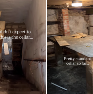 Couple Viewing New Home Go Down to Cellar—Never Imagined What They’d Find – Newsweek