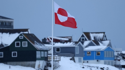 White House Meme About Greenland Penguin Sparks Jokes, Backlash