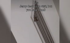 Mouse Pays Visit to Woman’s House, Hysterics at What’s Waiting for It