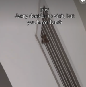 Mouse Pays Visit to Woman’s House, Hysterics at What’s Waiting for It