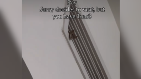 Mouse Pays Visit to Woman’s House, Hysterics at What’s Waiting for It