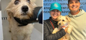 Cop Hears ‘Cries’ From Trash Can Next to Church—Not Ready for What He Finds