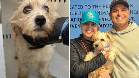 Cop Hears ‘Cries’ From Trash Can Next to Church—Not Ready for What He Finds