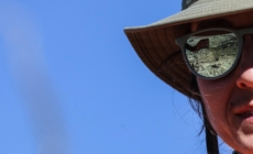 Rare sheep are U.S.-Mexico border crossers, but they’re hitting a sharp new obstacle