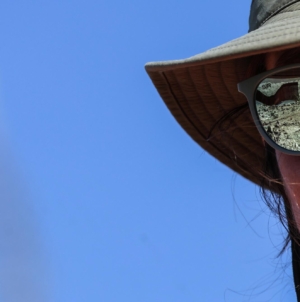 Healthcare experts warn ‘people will die’ unless state steps up amid federal cuts