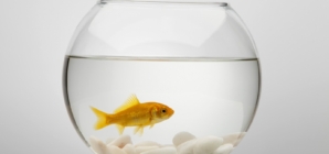 College Student Gets Knock on Door—Not Ready for ‘New Friend’ She Sees